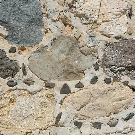 Oda ve Kahvaltı Tempo